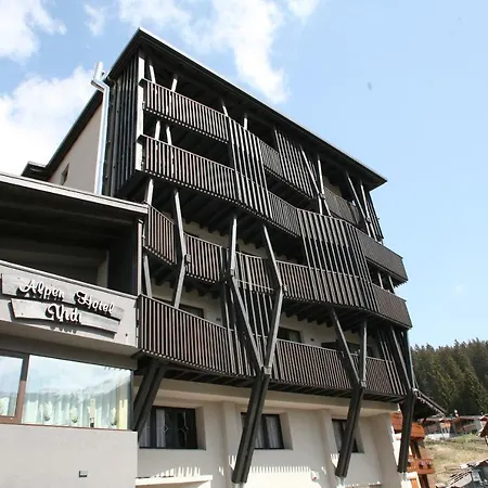 Alpen Vidi